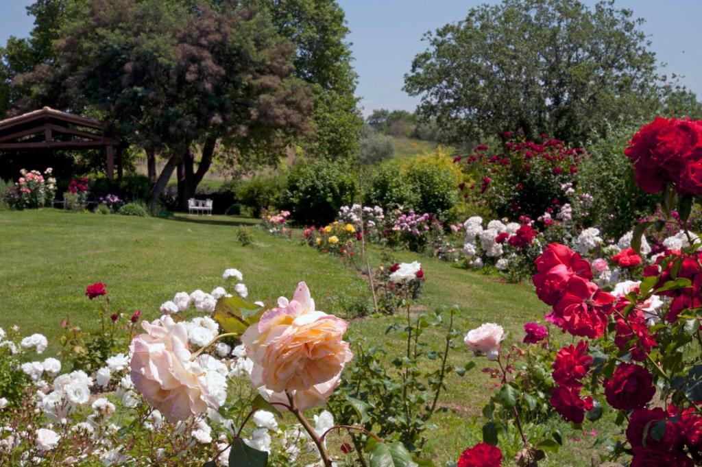 Locanda Ilune Pitigliano Buitenkant foto