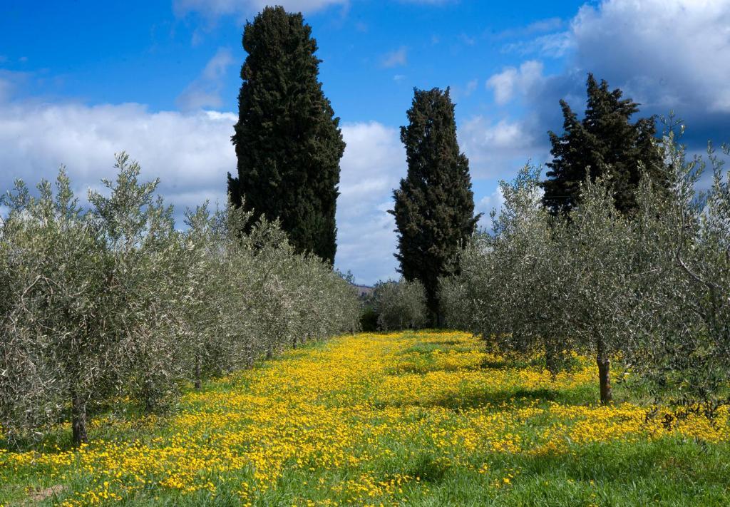 Locanda Ilune Pitigliano Buitenkant foto
