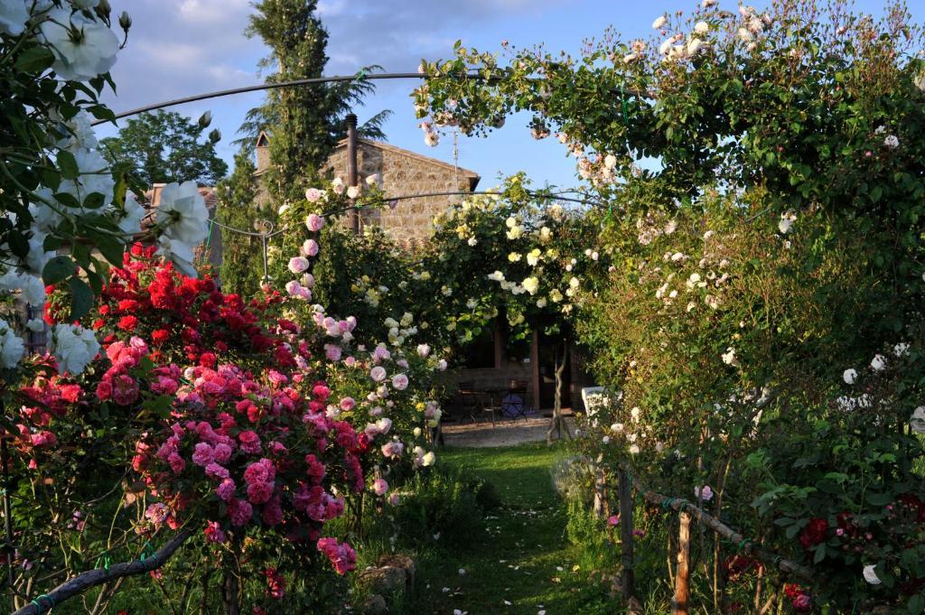 Locanda Ilune Pitigliano Buitenkant foto