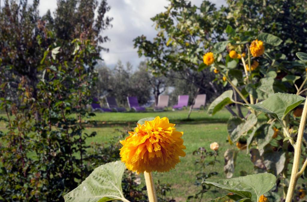 Locanda Ilune Pitigliano Buitenkant foto