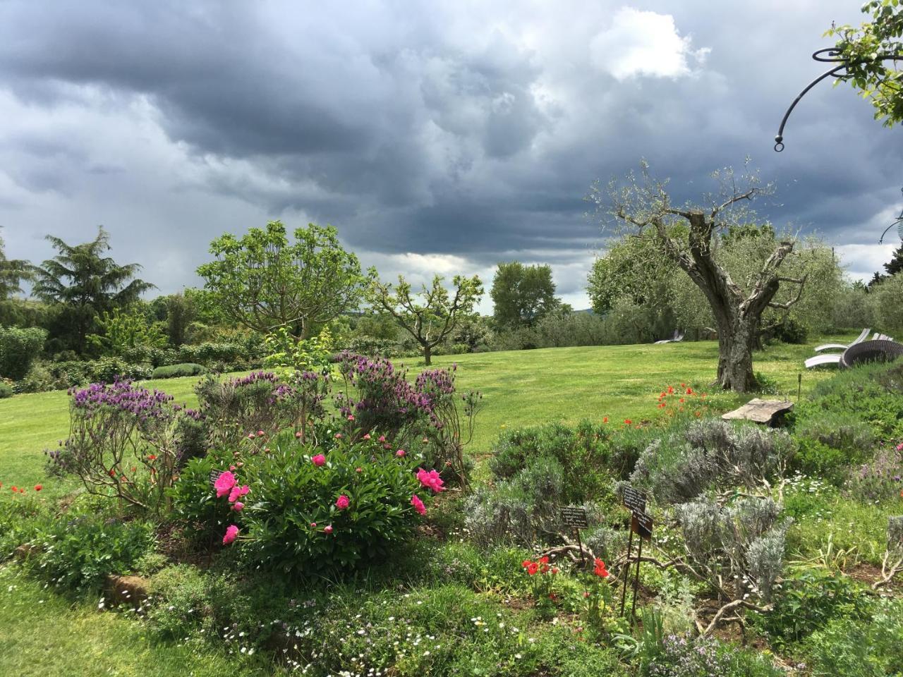 Locanda Ilune Pitigliano Buitenkant foto