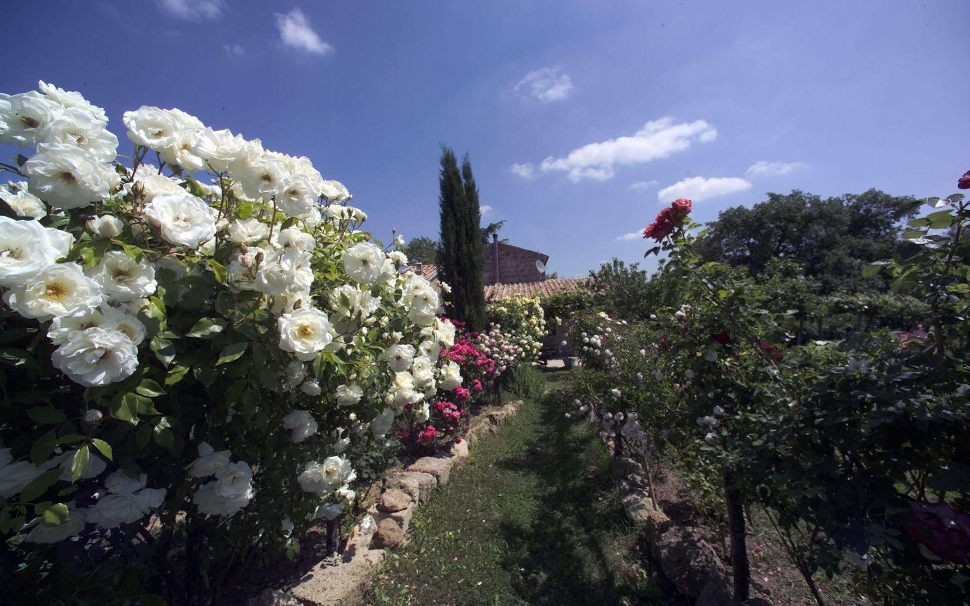 Locanda Ilune Pitigliano Buitenkant foto