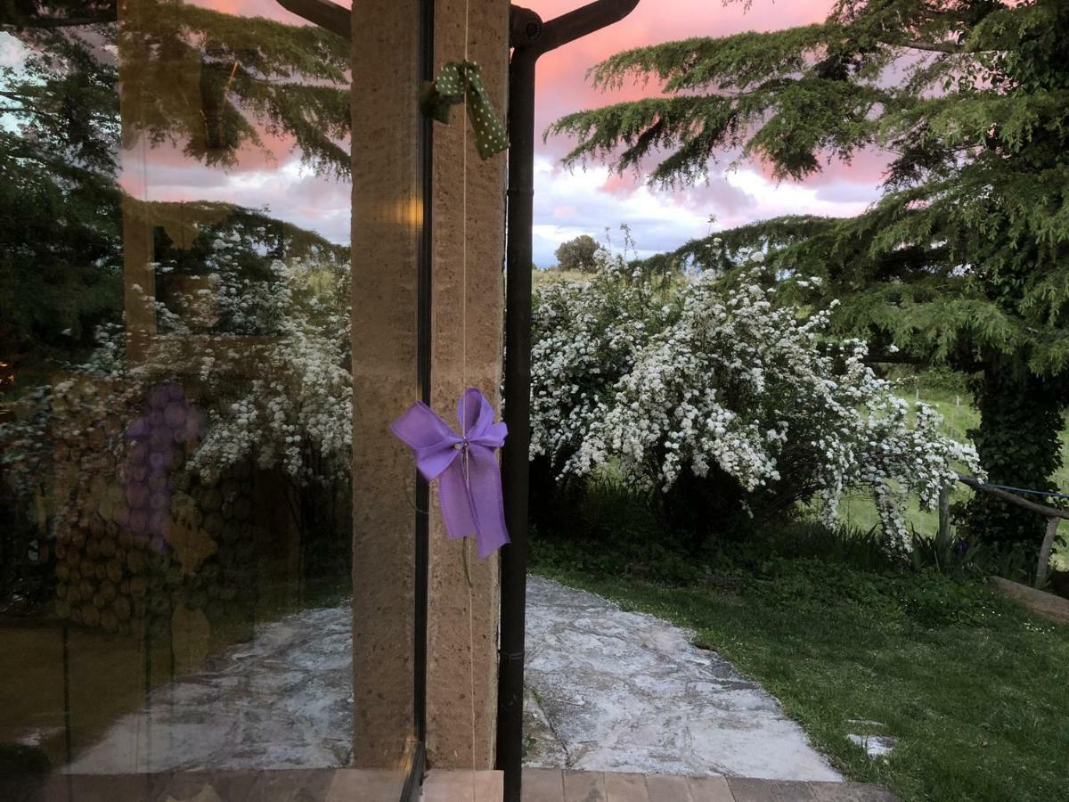 Locanda Ilune Pitigliano Buitenkant foto